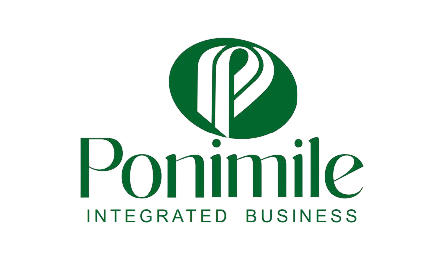logo without background